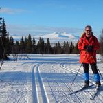 Scott Leeman - @scott.leeman - Instagram