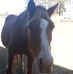 Scott Leftwich - Facebook