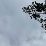 Scott Lehmann - @scott_lehmann05 - Instagram