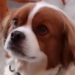 Marion Scott Lemay - @lemay1mm - Instagram