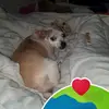 Scott Lemay - @scott.lemay0 - TikTok