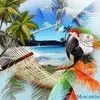 Scott Clements - @scottclements11 - TikTok