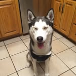 Scott Lemenager - @scottlemenager - Instagram