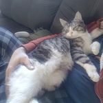 Scott Lemoine - @scott.lemoine.1441 - Instagram
