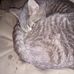Scott Charles Leque - Facebook