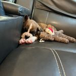 Scotty Lesher - @scott_lesher10 - Instagram