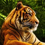 scott - @scott_leva_ - Instagram