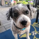 Scott Levenson - @scott.levenson.1 - Instagram