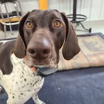 Scott Ley - @scottley98 - Instagram