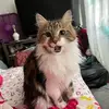 scottley385 - @scottley385 - TikTok