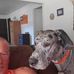 Scott Licht - Facebook