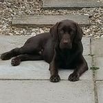 Scott Liddell - @liddell_scott - Instagram