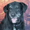 Scott Libman - @2184468967 - TikTok