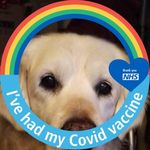 Scott Lillywhite - @scott.lillywhite.35 - Instagram