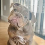 Hugo Boss Limbach - @scottlimbach - Instagram