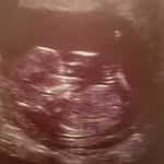 Scott Limbert - @limbertscott - Instagram