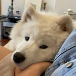 @scottlimbuta - Instagram