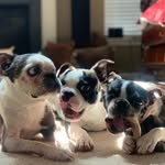 Scott Lindermann - @scottlindermann - Instagram