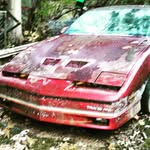 scott lingle - @scott.lingle - Instagram