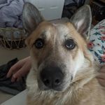 Scott Lingle - @lingle.cole - Instagram