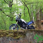 Scott Linne - @linne_scott - Instagram