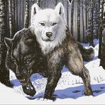Scott Lippiatt - Facebook