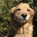 Scott Lesher - Facebook