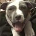 Scott Litzau - Facebook