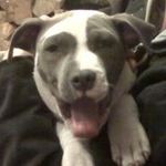 Scott Litzau - @litzauscott - Instagram