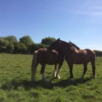 Fiona ScottLockyer - @fionascottlockyer - Instagram