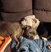 Scott Locy - Facebook