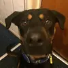 Scott Logue - @scottlogue3 - TikTok