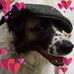 Scott Lohmeyer - Facebook
