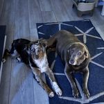 Scott Longo - @longoscott - Instagram