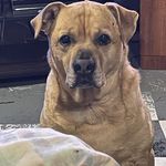 Scott Longwell - @slongwell24 - Instagram