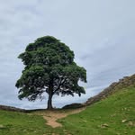 Scott Longworth - @scottlongworth2475 - Instagram
