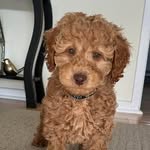 Scott Lorimer - @scottlor1 - Instagram