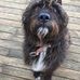 Scott Lorimer - Facebook