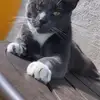 Scott Lorman - @scott.lorman - TikTok