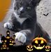 Scott Lorman - Facebook