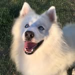 Scott - @_scott.lourenco - Instagram