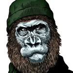 Scott Lowe - @bathing_ape_barber - Instagram