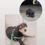 Scott & Lucky - @scott_lucky_ - Instagram