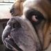 Scott Lyke - Facebook