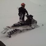 Scott Lyman - @scott.lyman.96 - Instagram