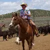 Scotty Lyman2 - @scotty.lyman2 - TikTok