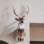 Scott Lyons - @_scottlyons_ - Instagram
