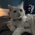 Scott Lyons - @scott_46193 - Instagram