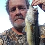Scott Lytton - @trumangallimore - Instagram