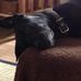 Scott Maass - Facebook